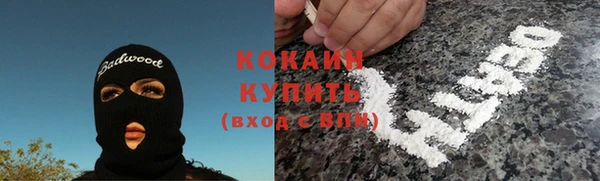 соль ск Волосово