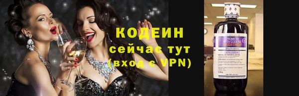 стаф Кодинск