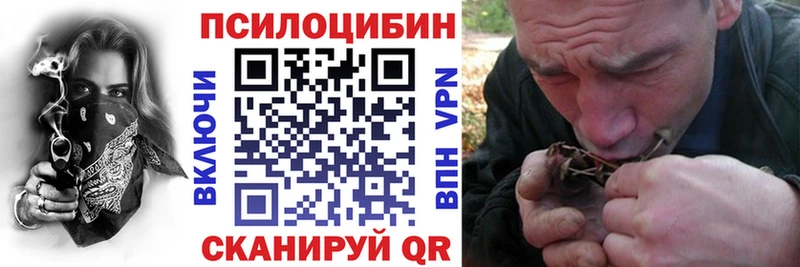 Псилоцибиновые грибы Psilocybine cubensis  наркота  Славянск-на-Кубани 