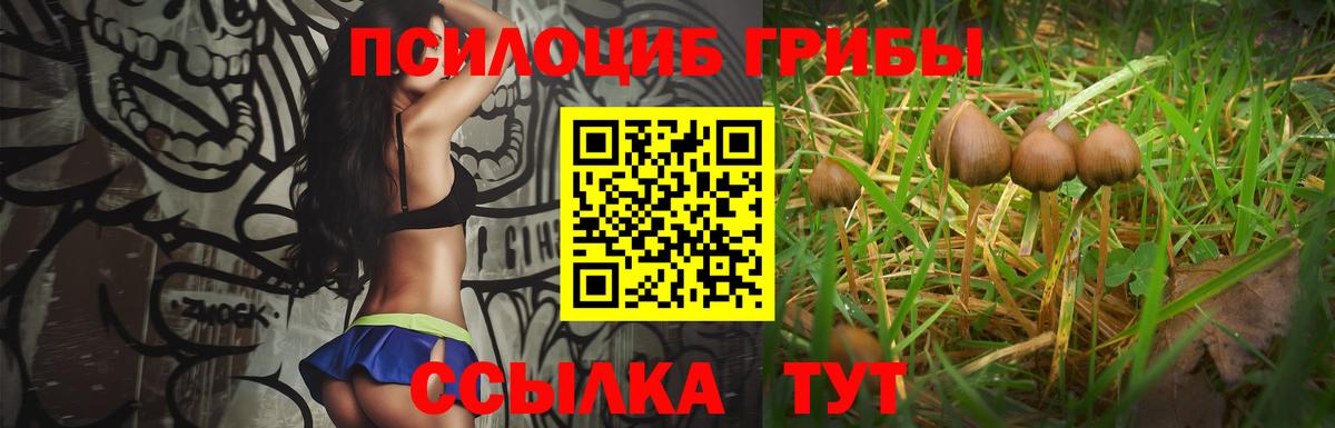 наркота  Вход с VPN  Галлюциногенные грибы мухоморы  Славянск-на-Кубани  Псилоцибиновые грибы ЛСД 